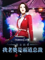 电视剧我的老婆是霸道总裁