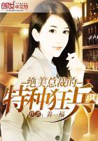 绝美总裁的超级高手