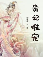 贵妃难为攻略全章