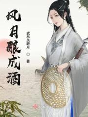 风月谁唱的