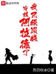 我已经没钱守护阿拉德了什么意思